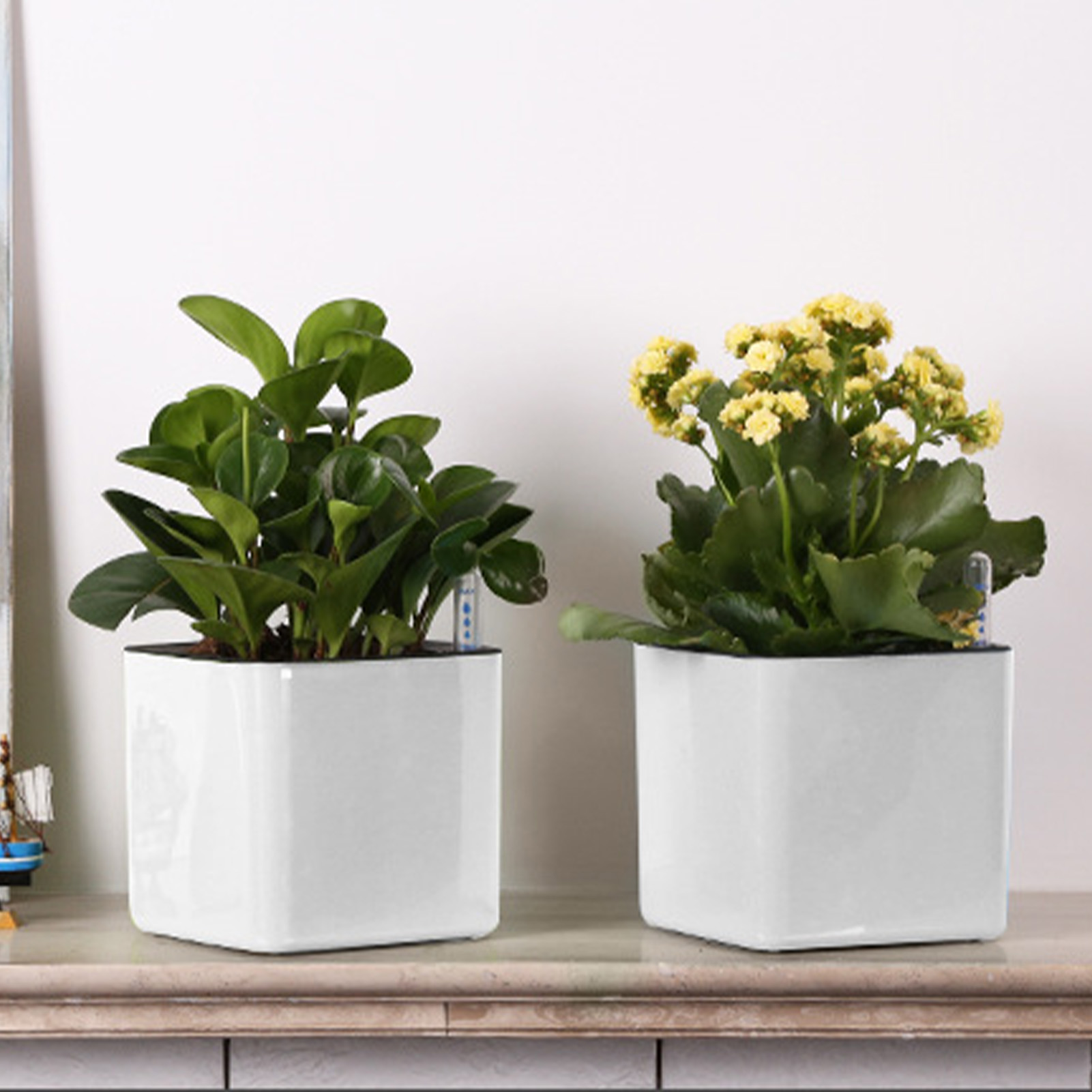 Lazy-Blumentopf in 3 Größen, g – Self Watering Insert Bewertung und Preis