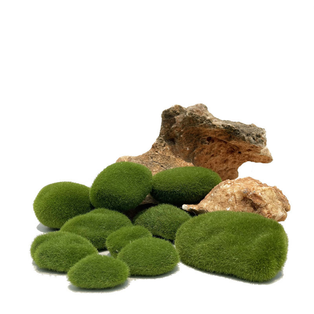 Künstliche gefälschte Moos Fel – Sphagnum Moss Dry Bewertung und Preis